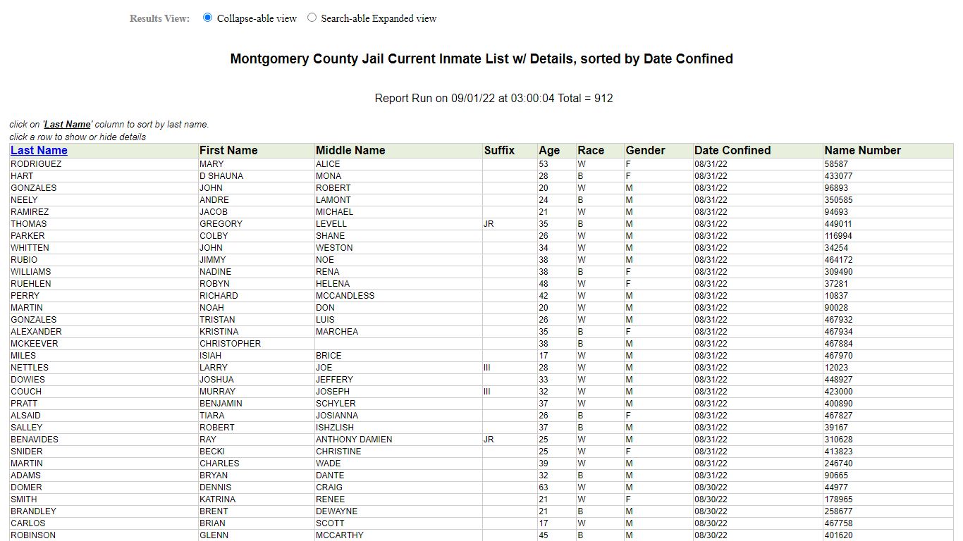 Jail Roster - Montgomery County, Texas